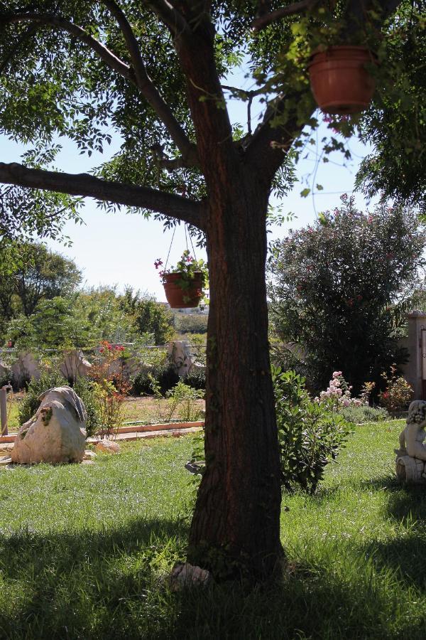Apartments For Families With Children Privlaka, Zadar - 5747 Ngoại thất bức ảnh