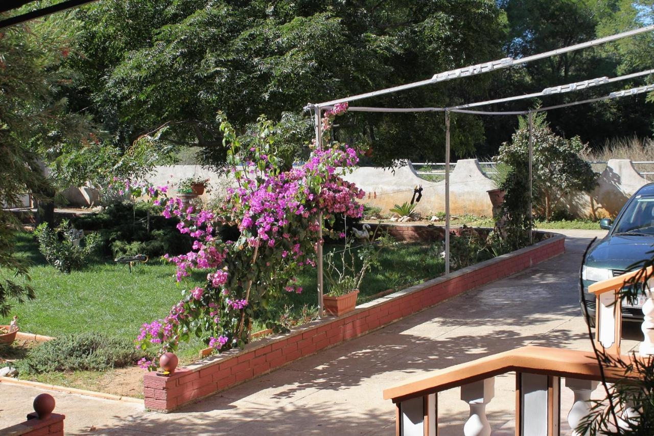 Apartments For Families With Children Privlaka, Zadar - 5747 Ngoại thất bức ảnh