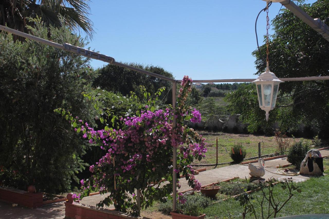 Apartments For Families With Children Privlaka, Zadar - 5747 Ngoại thất bức ảnh